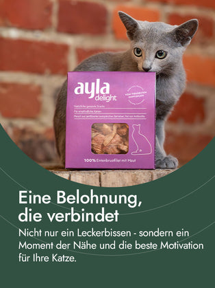 Hähnchenbrustfilet für Katzen