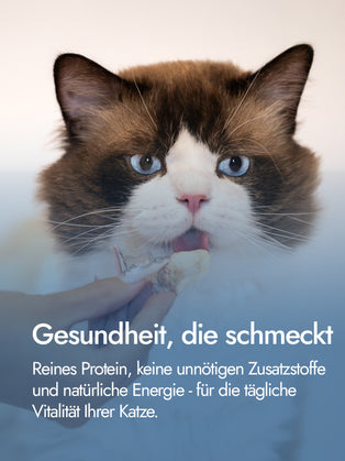 Putenbrustfilet für Katzen