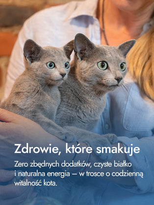 Filet z uda indyka – pełnia smaku i energii | przysmaki dla kota