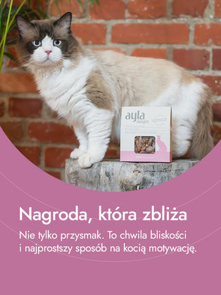 Serca indycze – siła ukryta w sercu natury | przysmaki dla kota