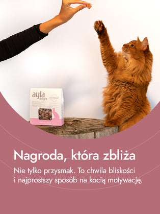 Wątróbki indycze – esencja siły i witalności | przysmaki dla kota