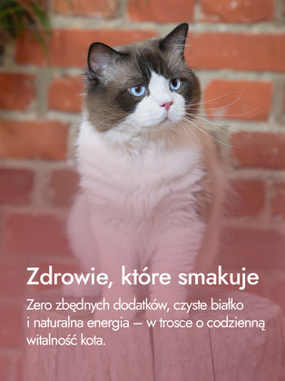 Wątróbki indycze – esencja siły i witalności | przysmaki dla kota