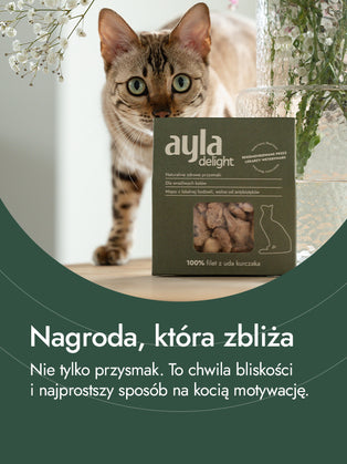 Filet z uda kurczaka – intensywność smaku i naturalna energia | przysmaki dla kota