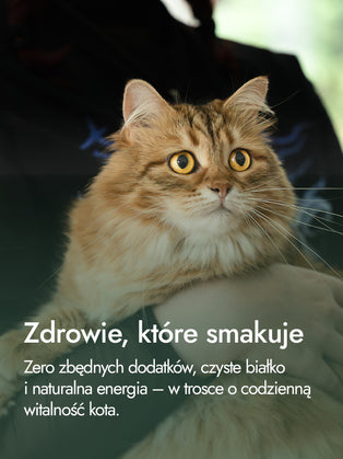 Filet z uda kurczaka – intensywność smaku i naturalna energia | przysmaki dla kota