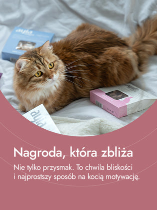 Wątróbki kurze – bogactwo żelaza i odporności | przysmaki dla kota