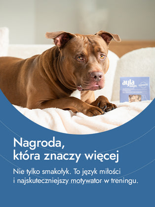 Filet z uda indyka – pełnia smaku i siły | przysmaki dla psa