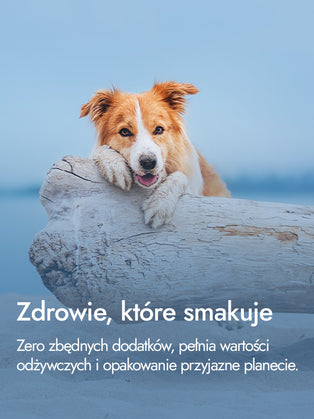 Filet z uda indyka – pełnia smaku i siły | przysmaki dla psa