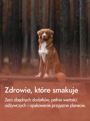 Żołądki indycze – lekkie i odżywcze | przysmaki dla psa