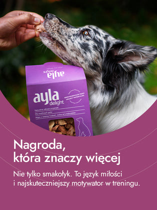 Serca kacze – intensywność i siła natury | przysmaki dla psa
