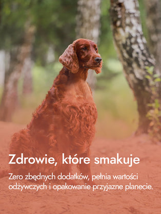 Żołądki kacze – chrupiąca siła natury | przysmaki dla psa