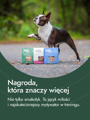 Filet z piersi kurczaka – delikatna siła natury | przysmaki dla psa
