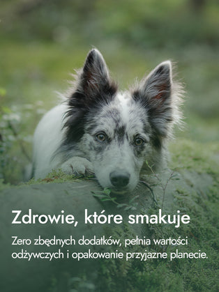 Filet z piersi kurczaka – delikatna siła natury | przysmaki dla psa