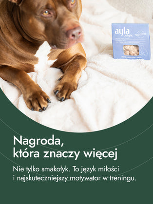 Filet z uda kurczaka – smak i energia | przysmaki dla psa