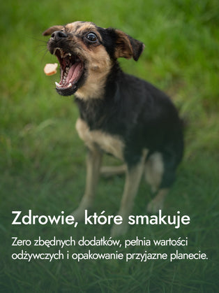 Filet z uda kurczaka – smak i energia | przysmaki dla psa