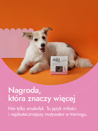 Serca kurze – delikatna moc i smak | przysmaki dla psa
