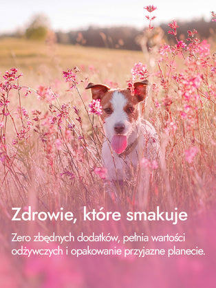 Serca kurze – delikatna moc i smak | przysmaki dla psa