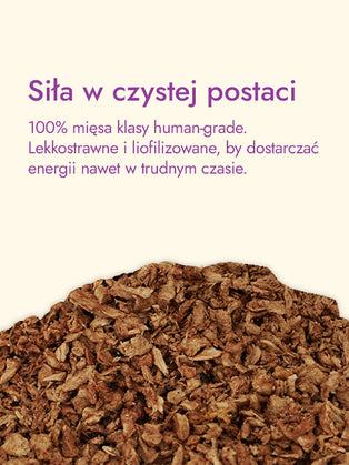 Recovery Food SINGLE | Filet z piersi kaczki ze skórą