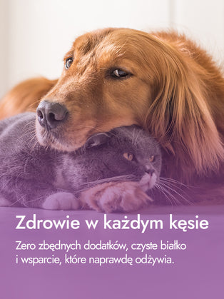 Recovery Food SINGLE | Filet z piersi kaczki ze skórą