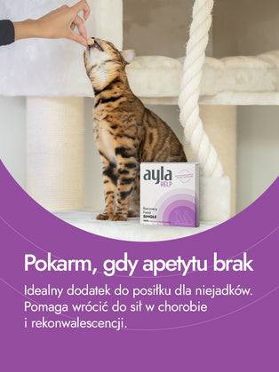 Recovery Food SINGLE | Filet z piersi kaczki ze skórą