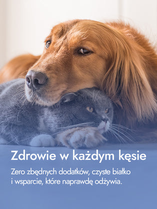 Recovery Food SINGLE | Medaliony indycze