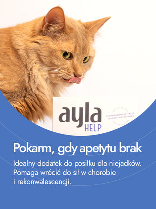 Recovery Food SINGLE | Medaliony indycze