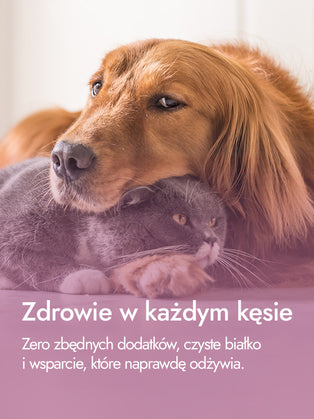 Recovery Food SINGLE | Serca indycze