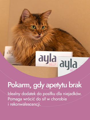 Recovery Food SINGLE | Serca indycze