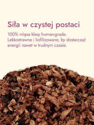 Recovery Food SINGLE | Serca kurze