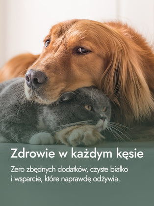 Recovery Food SINGLE | Filet z uda kurczaka