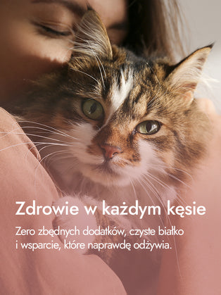 Recovery Food SINGLE | Wątróbki indycze