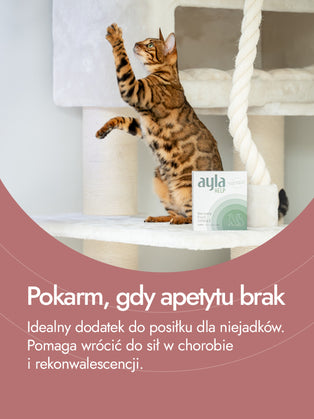 Recovery Food SINGLE | Wątróbki indycze