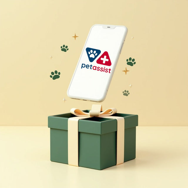PetAssist – prezent AYLA na wakacjach