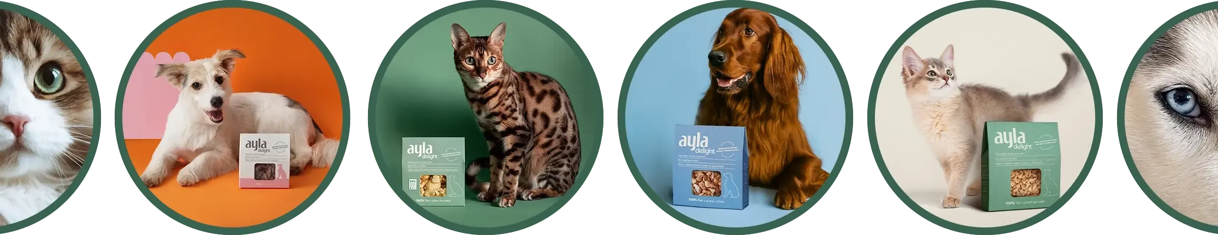 Pet life stages