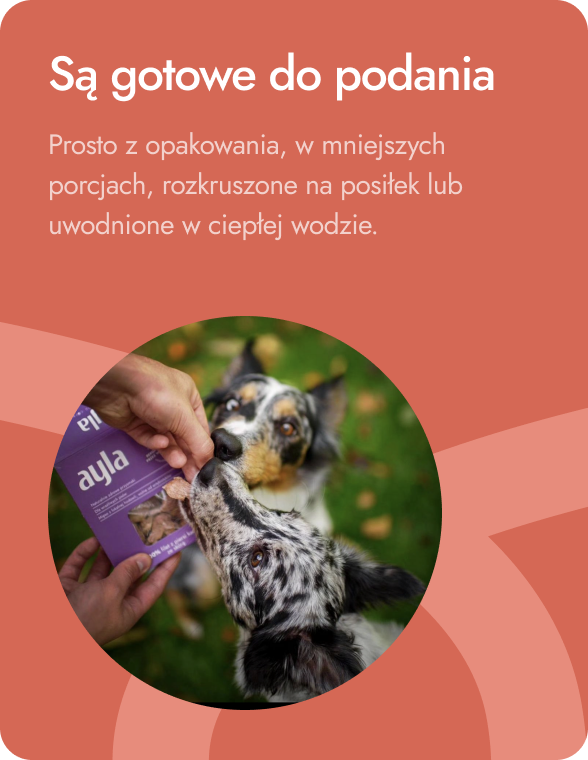 Są gotowe do podania
