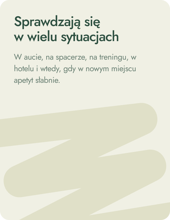 Sprawdzają się w wielu sytuacjach