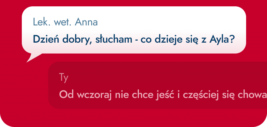 Czat z lekarzem weterynarii