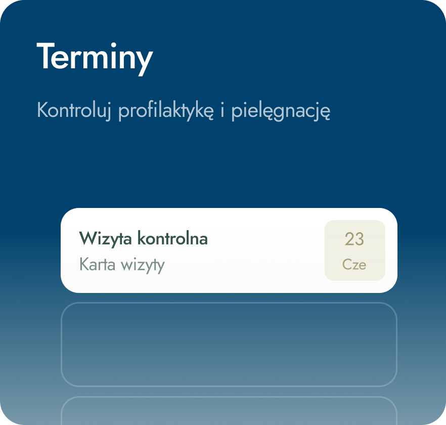Terminy