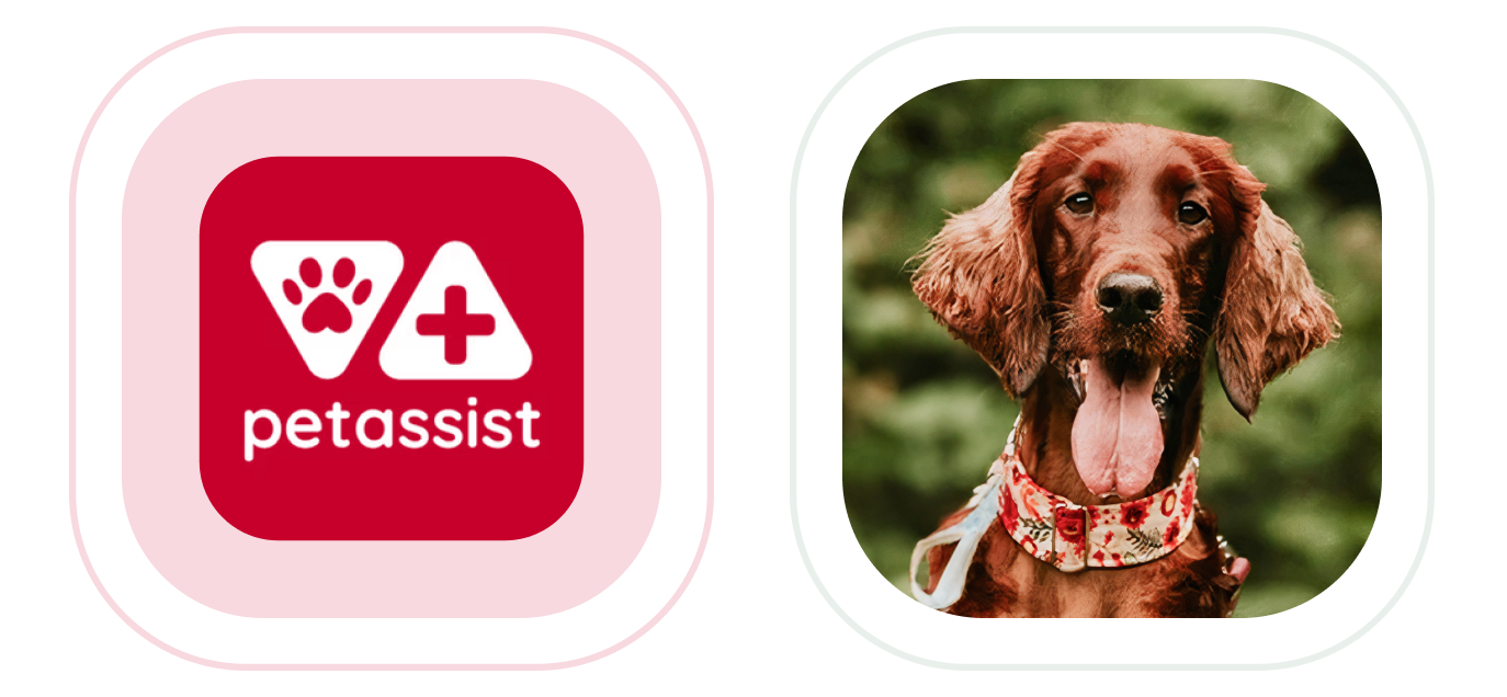 PetAssist i Ayla